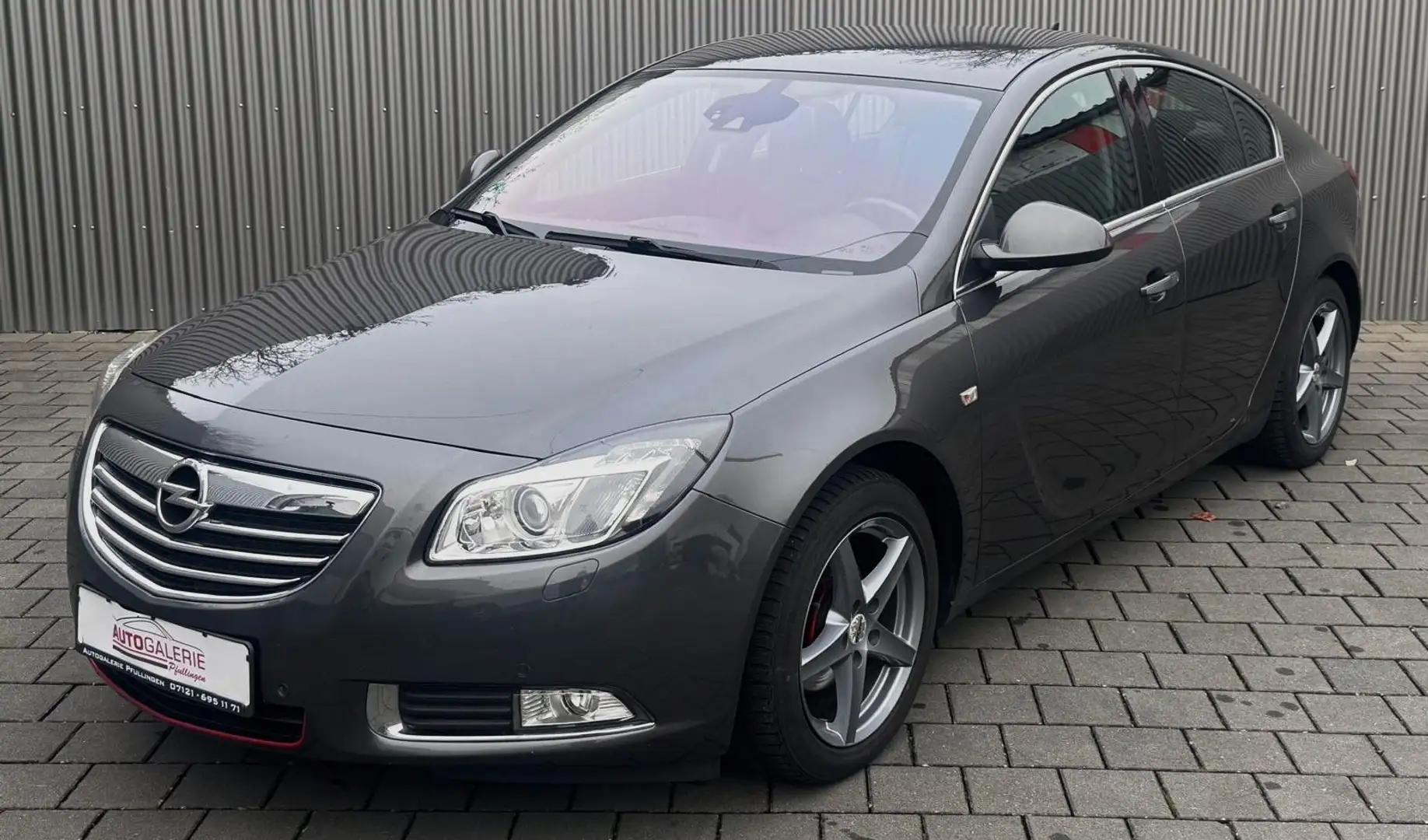 Opel Insignia A Lim. Cosmo Grau - 1