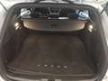 Ford Focus Turnier 1,5 EcoBlue ST-Line Aut. Silber - thumbnail 15