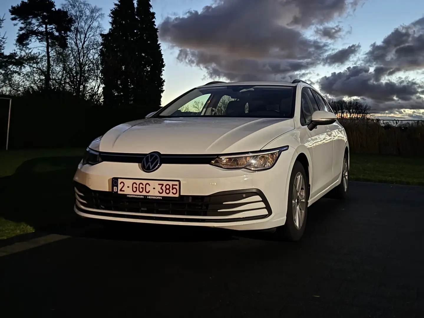 Volkswagen Golf Variant Golf Variant 1.0 TSI OPF Weiß - 1