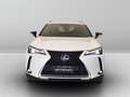 Lexus UX 250h 250 2.0 Hybrid Business Bílá - thumbnail 2