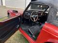 Triumph TR6 PI 1971 Rouge - thumbnail 5