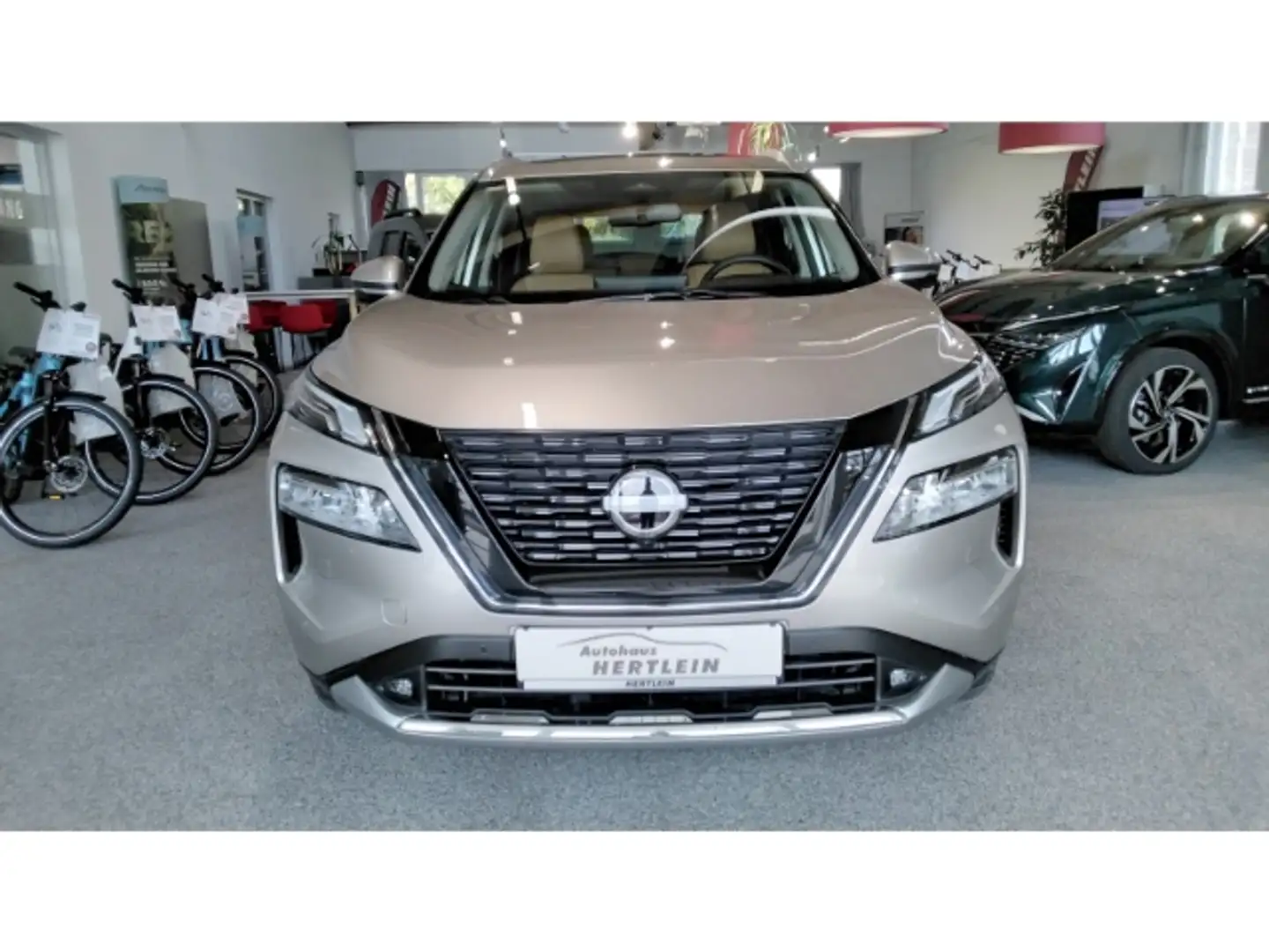 Nissan X-Trail Tekna PLUS  EU6d VC-T e-Power 1.5  ,Leder,360ALL I Zilver - 1