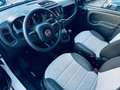 Fiat New Panda CROSS VISIBILE IN SEDE Bianco - thumbnail 6