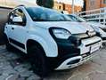 Fiat New Panda CROSS VISIBILE IN SEDE Bianco - thumbnail 1