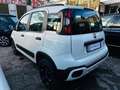 Fiat New Panda CROSS VISIBILE IN SEDE Bianco - thumbnail 3