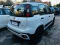 Fiat New Panda CROSS VISIBILE IN SEDE Bianco - thumbnail 4