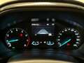 Ford Puma 1.0 Ecoboost Hybrid 125CV Titanium Blau - thumbnail 13