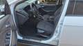 Ford Focus Sync Edition/8xAlu/AHK/SHZ/Zahnriemen neu Blanc - thumbnail 14