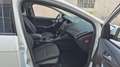Ford Focus Sync Edition/8xAlu/AHK/SHZ/Zahnriemen neu Blanc - thumbnail 16