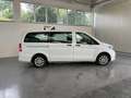 Mercedes-Benz Vito 2.2 116CV CDI PC-SL TOURER Bianco - thumbnail 8