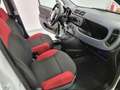 Fiat Panda 1.2 Easy Blanc - thumbnail 12