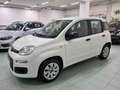 Fiat Panda 1.2 Easy Blanc - thumbnail 5