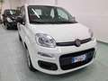 Fiat Panda 1.2 Easy Blanc - thumbnail 2