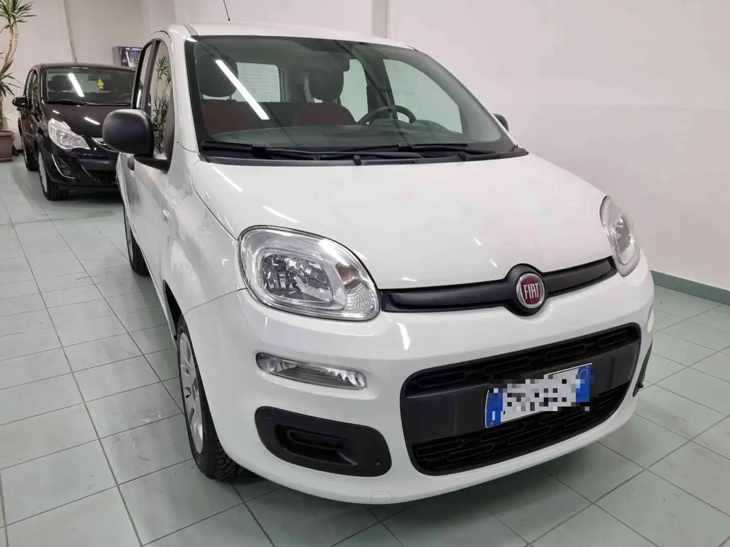 Fiat Panda 1.2 Easy Blanc - 2