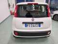 Fiat Panda 1.2 Easy Blanc - thumbnail 7