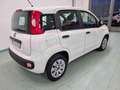 Fiat Panda 1.2 Easy Blanc - thumbnail 8