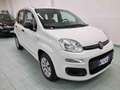 Fiat Panda 1.2 Easy Blanc - thumbnail 1