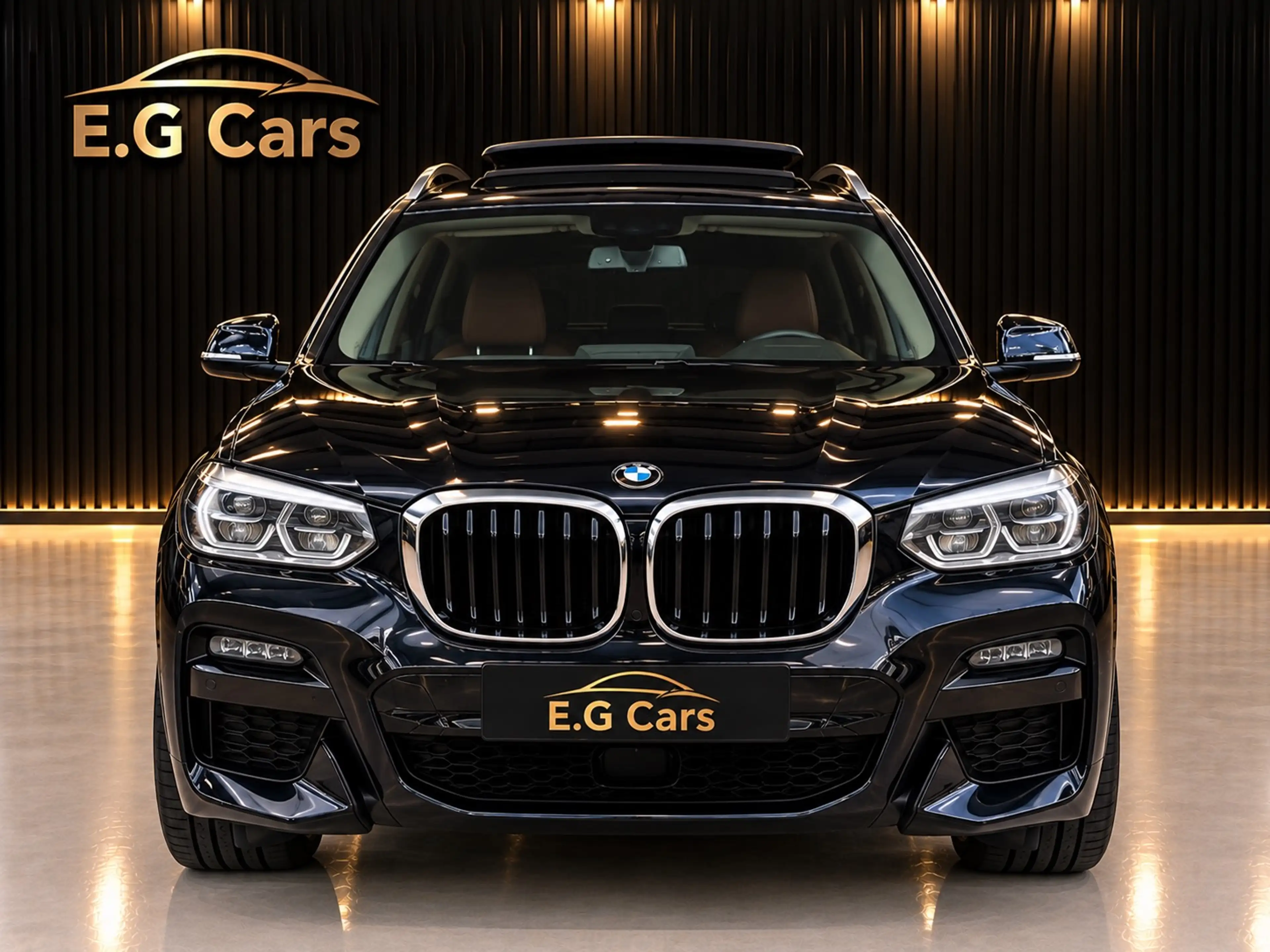 BMW X3 BMW X3 xDrive30e M Sport | Pano |360°Camera|DEALER — photo 3