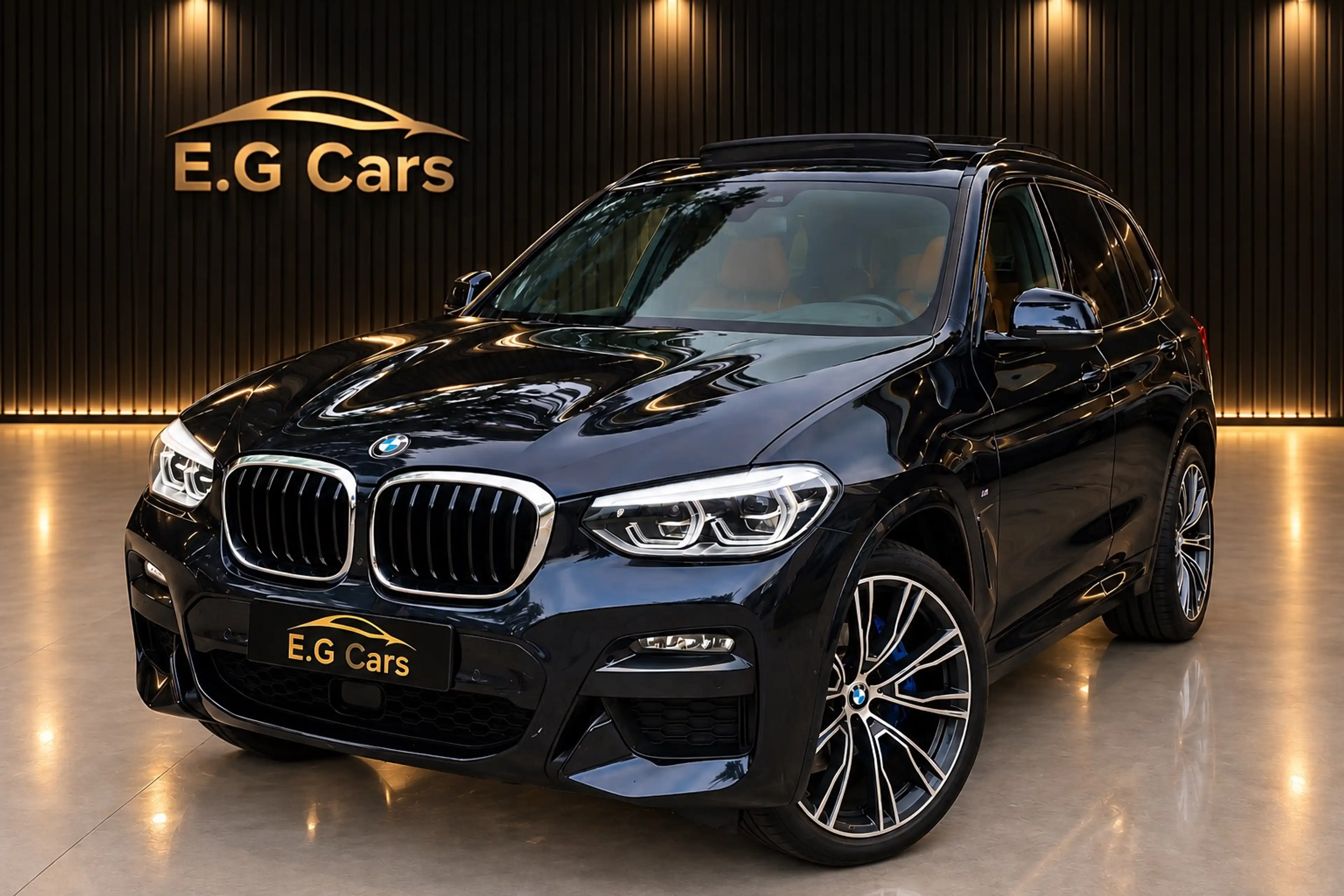BMW X3 BMW X3 xDrive30e M Sport | Pano |360°Camera|DEALER — photo 2