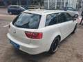 SEAT Exeo ST Style |Klimaautomatik|Sitzheizung|8 Fach Weiß - thumbnail 3