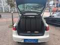 SEAT Exeo ST Style |Klimaautomatik|Sitzheizung|8 Fach Weiß - thumbnail 5
