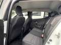 Dacia Sandero ECO- G  100 Pk Stepway Expression * 48 Mnd Garant Blanc - thumbnail 16