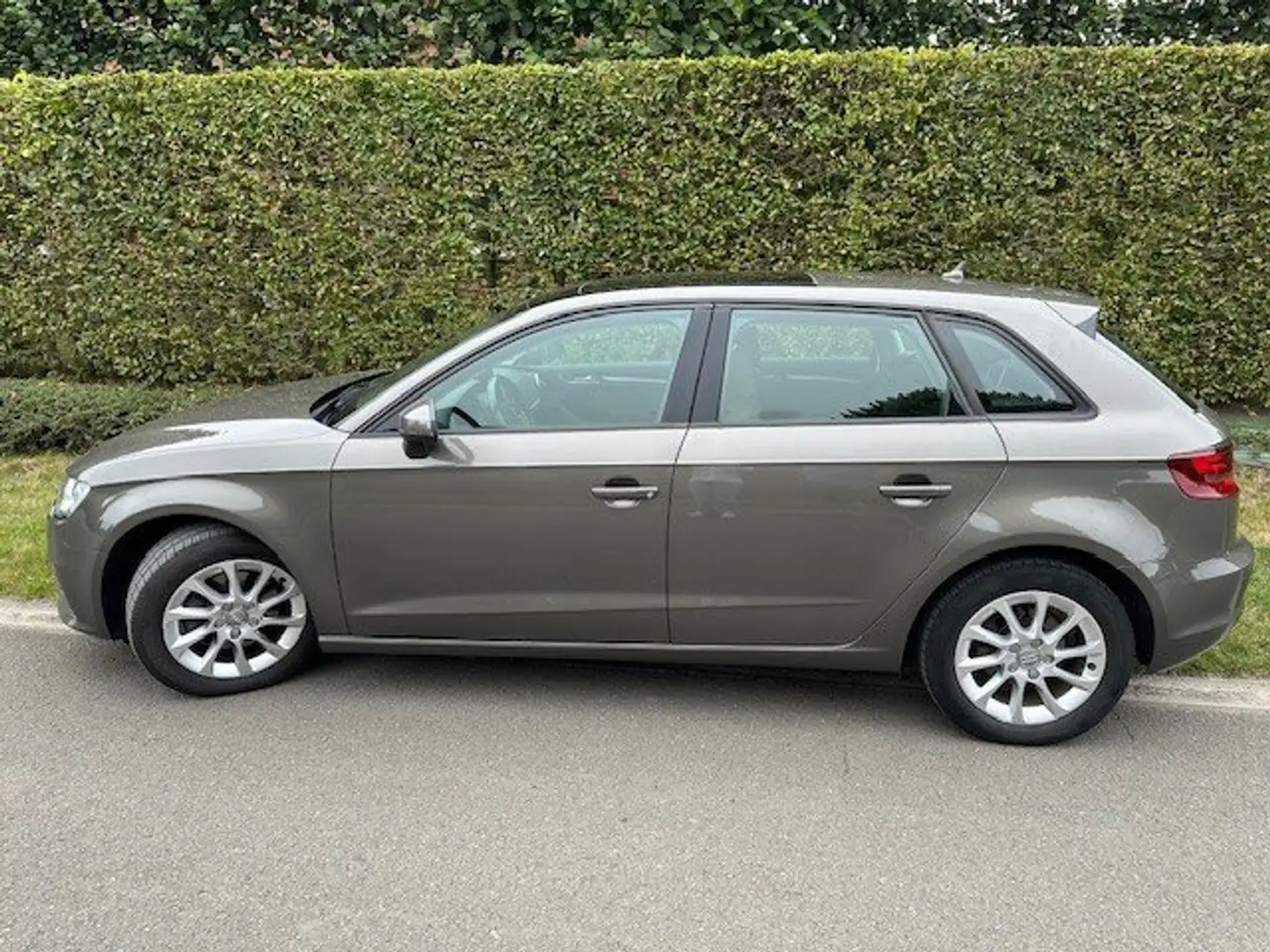 Audi A3 A3 1.9 TDI Attraction Beige - 1