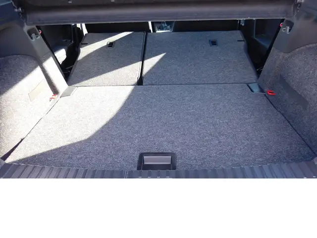 Seat Ibiza view 4