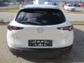 Mazda CX-30 /G140/Homura Weiß - thumbnail 7