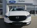 Mazda CX-30 /G140/Homura Weiß - thumbnail 3