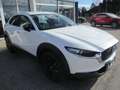 Mazda CX-30 /G140/Homura Weiß - thumbnail 4