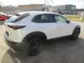 Mazda CX-30 /G140/Homura Weiß - thumbnail 6