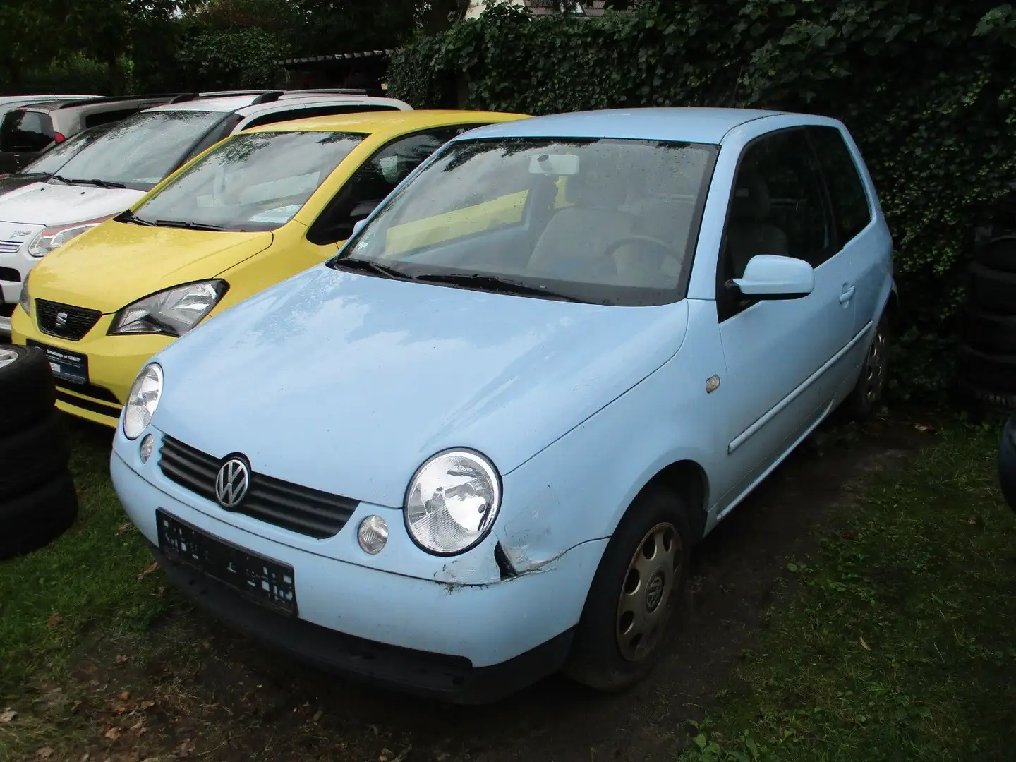Volkswagen Lupo 1.4 College Klima grüne Plakette Azul - 2