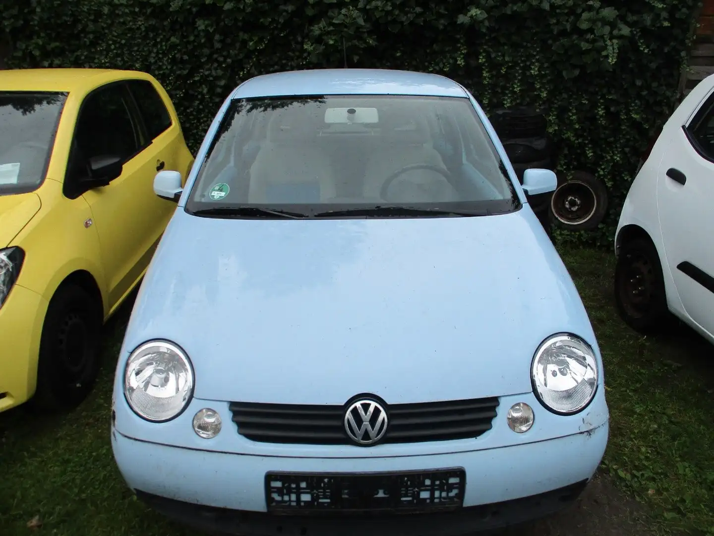 Volkswagen Lupo 1.4 College Klima grüne Plakette Azul - 1