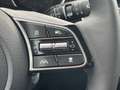 Kia XCeed Vision 1.5 T-GDI DCT KLIMAAUTOMATIK Navi Rückfahrk Gris - thumbnail 24