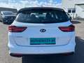 Kia Ceed SW / cee'd SW ceed SW 1,0 T-GDI GPF ISG Titan Weiß - thumbnail 5