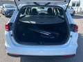 Kia Ceed SW / cee'd SW ceed SW 1,0 T-GDI GPF ISG Titan Weiß - thumbnail 24