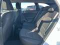Kia Ceed SW / cee'd SW ceed SW 1,0 T-GDI GPF ISG Titan Weiß - thumbnail 10