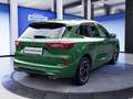 Ford Kuga 1.5 ST-LINE X *LEDMatrix*19Zoll*HUD*WinterPk* Groen - thumbnail 5