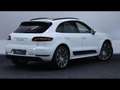 Porsche Macan GTS 3.0 360 PDK Weiß - thumbnail 4