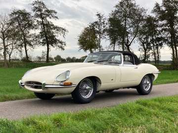 Series 1 Outside Bonnet Latch