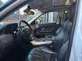 Land Rover Range Rover Evoque Range Rover Evoque I 2011 5p 2.2 sd4 Dynamic 190cv Bianco - thumbnail 10