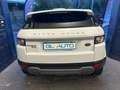 Land Rover Range Rover Evoque Range Rover Evoque I 2011 5p 2.2 sd4 Dynamic 190cv Bianco - thumbnail 7
