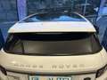 Land Rover Range Rover Evoque Range Rover Evoque I 2011 5p 2.2 sd4 Dynamic 190cv Bianco - thumbnail 6