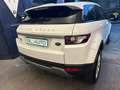 Land Rover Range Rover Evoque Range Rover Evoque I 2011 5p 2.2 sd4 Dynamic 190cv Bianco - thumbnail 9