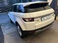 Land Rover Range Rover Evoque Range Rover Evoque I 2011 5p 2.2 sd4 Dynamic 190cv Bianco - thumbnail 8