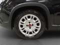Fiat Panda 1.0 firefly hybrid s&s 70cv 5p.ti Nero - thumbnail 7
