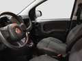 Fiat Panda 1.0 firefly hybrid s&s 70cv 5p.ti Nero - thumbnail 11