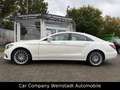 Mercedes-Benz CLS 250 CLS CLS 250 BlueTec / d Weiß - thumbnail 4