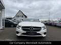 Mercedes-Benz CLS 250 CLS CLS 250 BlueTec / d Weiß - thumbnail 2